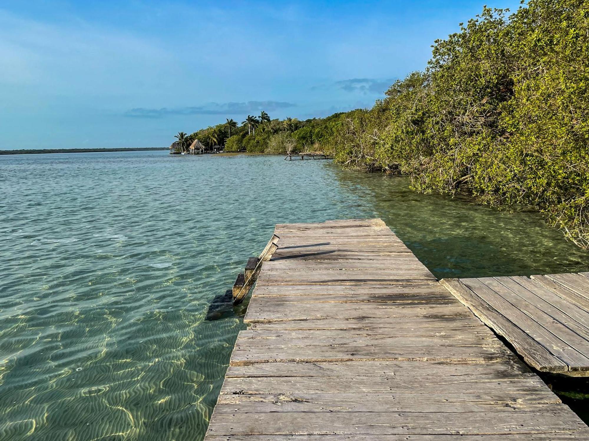 Bufo Alvarius Sanctuary Bacalar Buenavista  Kültér fotó