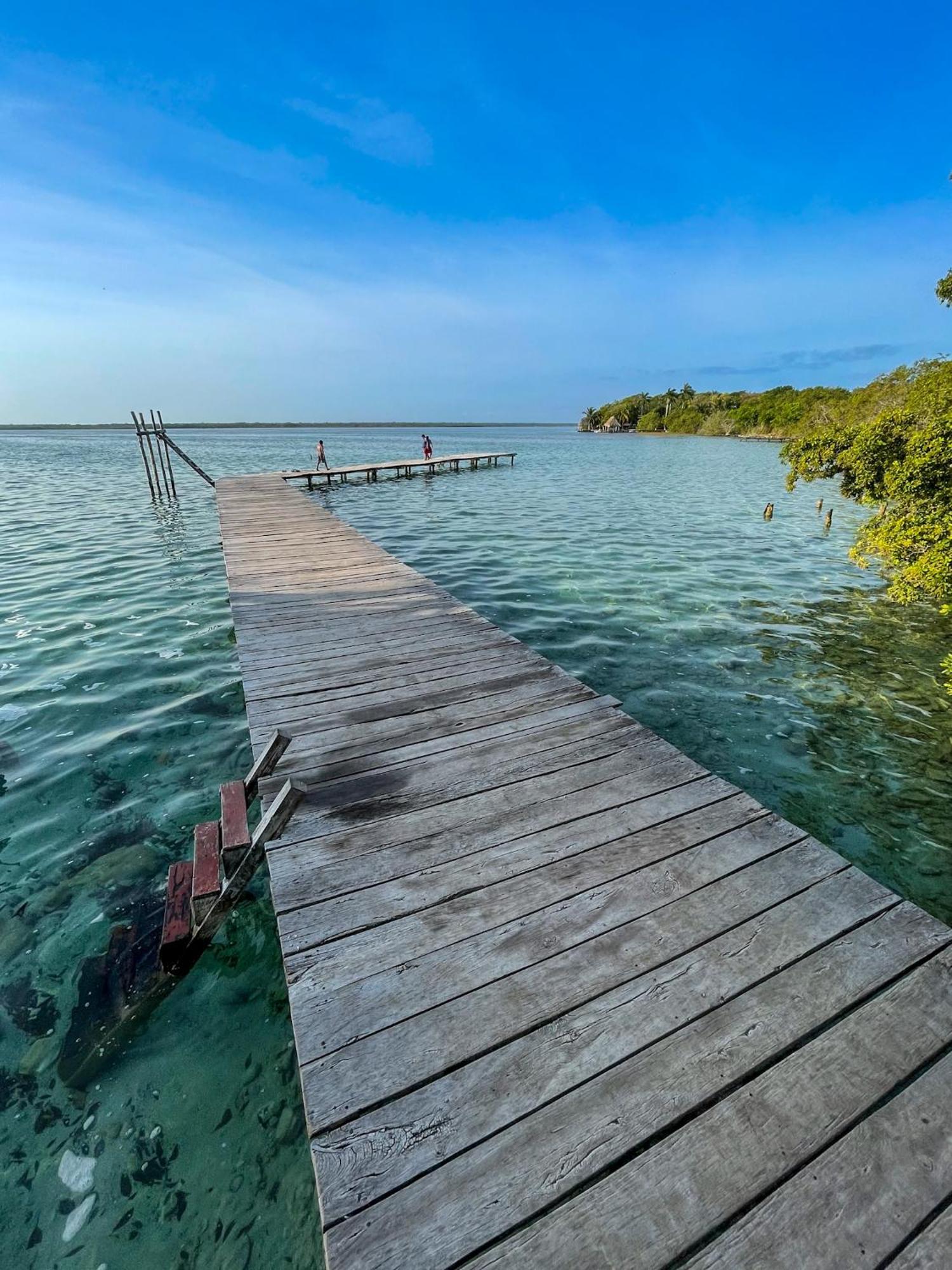 Bufo Alvarius Sanctuary Bacalar Buenavista  Kültér fotó